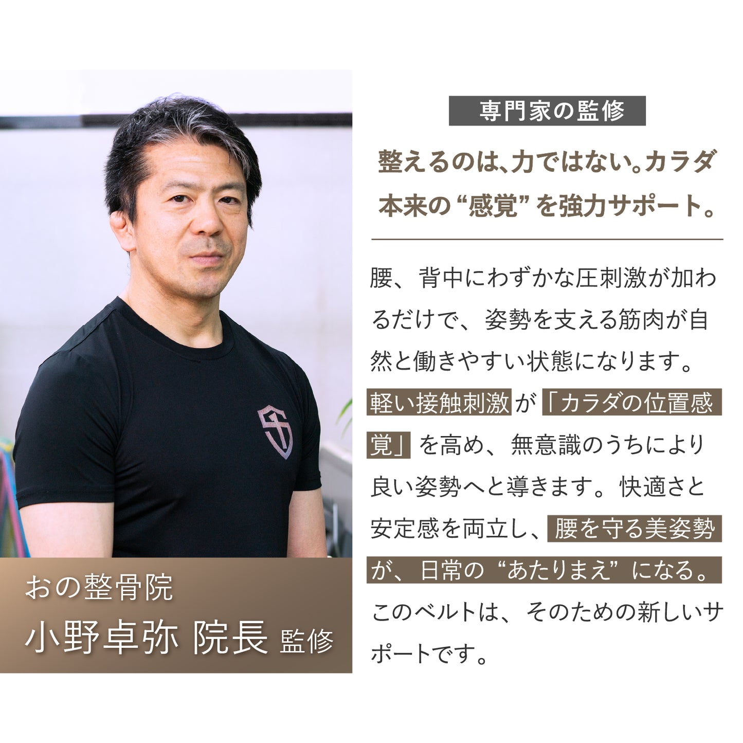 【コレストベルト】ワンタッチタイプ