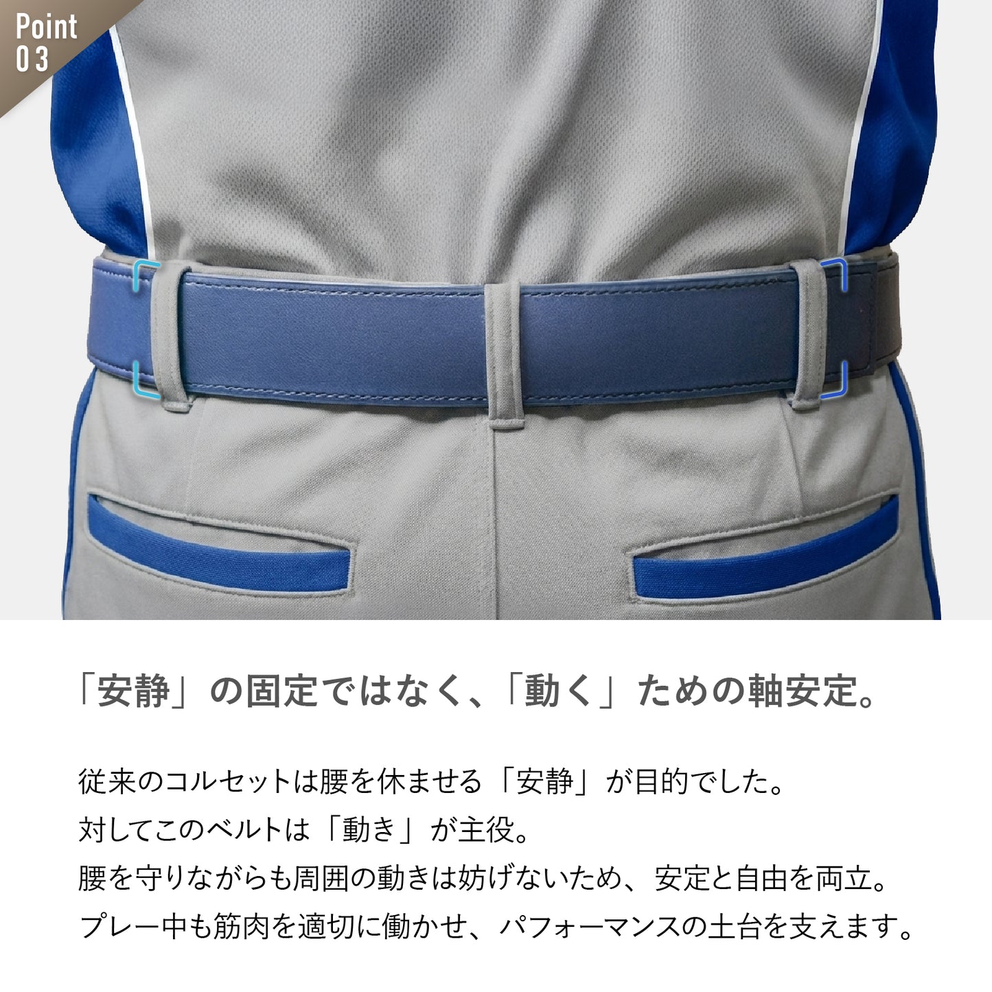 【コレストベルト 】ベーシックタイプ