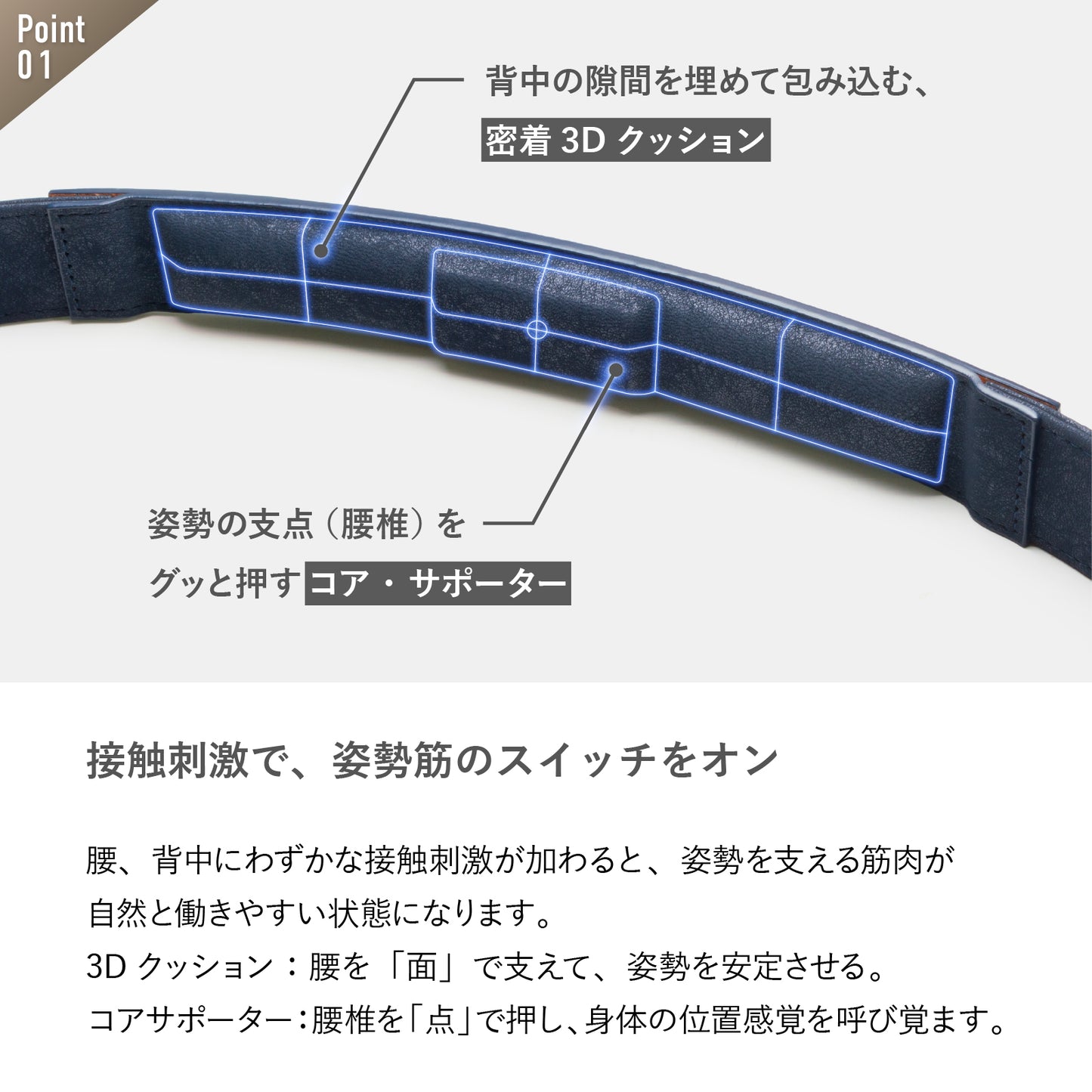 【コレストベルト】ワンタッチタイプ