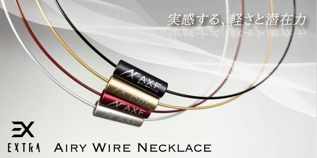 Limited arrival items EX Airy Wire Necklace Free Shipping